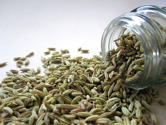 Use of Fennel Seed Water For Acne Treatment 3 Best Home Remedies For Acne Treatment Fast Overnight