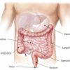 Detox The Body And Cleanse The Colon With These 10 Foods