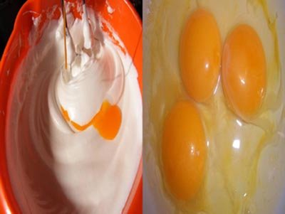 Egg Yolk and Yogurt Moisturizing Treatment for Dry Dull and Damaged Hair- Hair Care