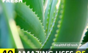 Uses Of Aloe Vera: 40 Things You Can Do With Aloe Vera