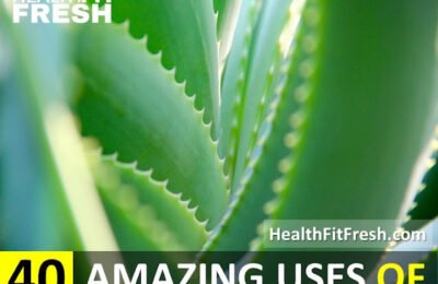 Uses Of Aloe Vera: 40 Things You Can Do With Aloe Vera