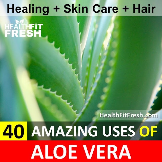 Uses Of Aloe Vera: 40 Things You Can Do With Aloe Vera