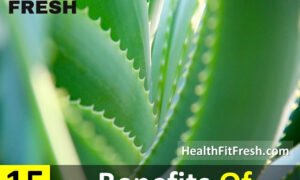 15 Benefits of Aloe Vera for Skin, Hair, and Health