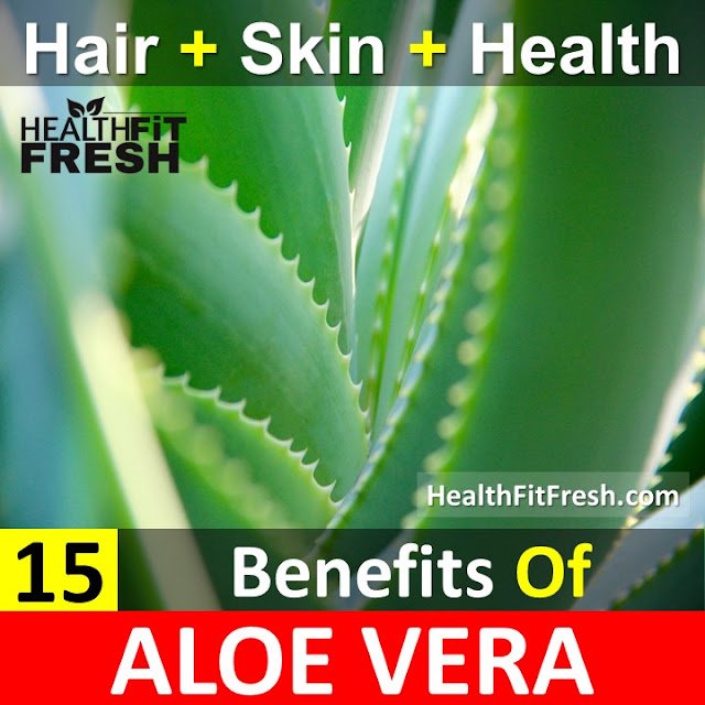 15 Benefits of Aloe Vera for Skin, Hair, and Health