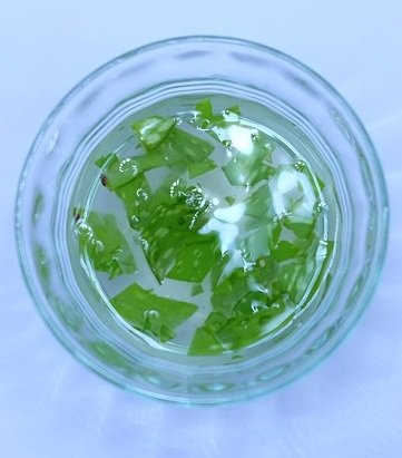 Uses Of Aloe Vera: 40 Things You Can Do With Aloe Vera