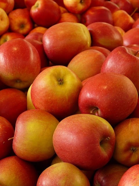 Apples for Weight Lose 15 Best Foods that Help Healthy Weight Loss: Burn Belly Fat Fast