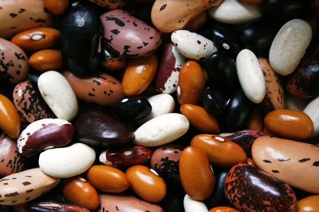Beans for Weight Lose For weight lose-foods that help healthy weight lose 15 Best Foods that Help Healthy Weight Loss: Burn Belly Fat Fast