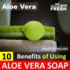 Top 10 Benefits of Aloe Vera Soap: Herbal Soap