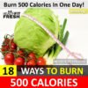 18 Effective Ways To Burn 500 Calories in One Day