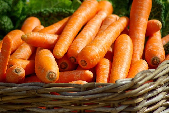 The 15 Best Foods For Pregnancy: Pregnancy Diet