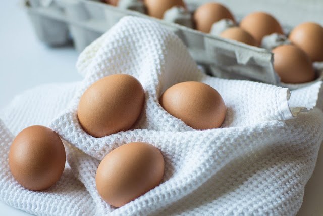 The 15 Best Foods For Pregnancy: Pregnancy Diet