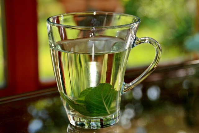 14 Health Benefits of Green Tea: Weight Loss, Detox, Anti Aging