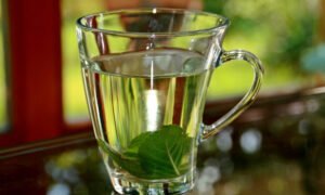 24 Green Tea Side Effects: Disadvantages To Be Aware Of