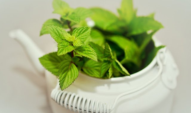 Side Effects Of Green Tea: Is Green Tea Good For You 24 Green Tea Side Effects: Disadvantages To Be Aware Of
