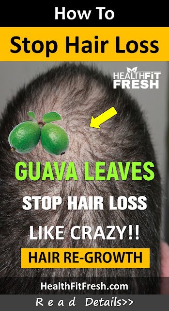 Guava Leaves Can Stop Hair Loss Like Crazy! Stop Hair Loss