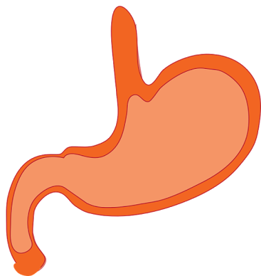 Powerful Ways To Improve Your Digestive System