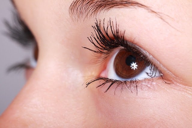 10 Ways to Grow Longer Eyelashes Fast Naturally in 15 Days!