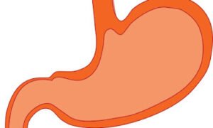 12 Best Ways to Get Rid of Gas and Bloating Fast