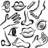 40 Interesting Facts About Human Body