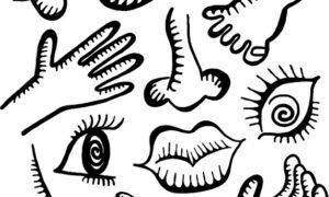 40 Interesting Facts About Human Body
