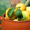 7 Ways to Use Lemon to Burn Body Fat & Lose Weight Fast