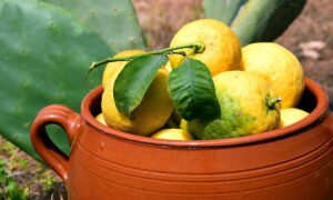 7 Ways to Use Lemon to Burn Body Fat & Lose Weight Fast
