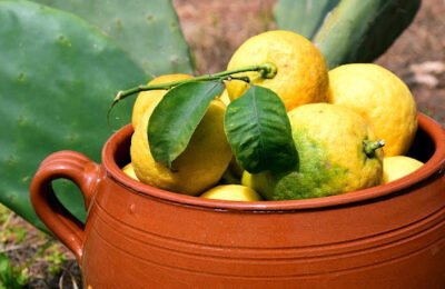 7 Ways to Use Lemon to Burn Body Fat & Lose Weight Fast