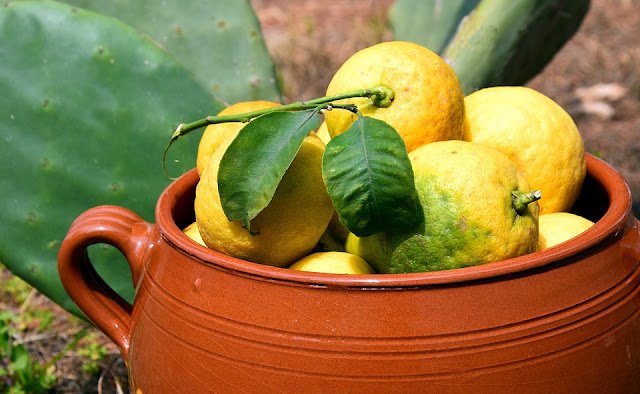 7 Ways to Use Lemon to Burn Body Fat & Lose Weight Fast