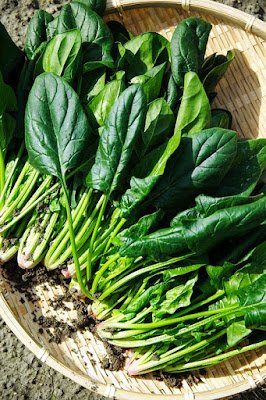 What to Eat For Glowing Skin: 10 Foods For a Better Complexion