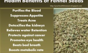Magic Fennel Seed(Sonf) Water For Acne, Marks and Body Detoxification